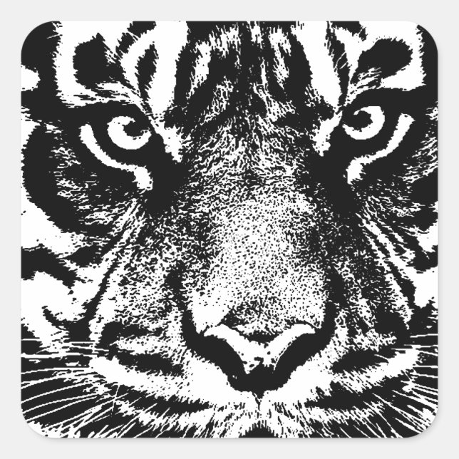 Black White Sumatran Borneo Tiger Eye Artwork Square Sticker (Front)