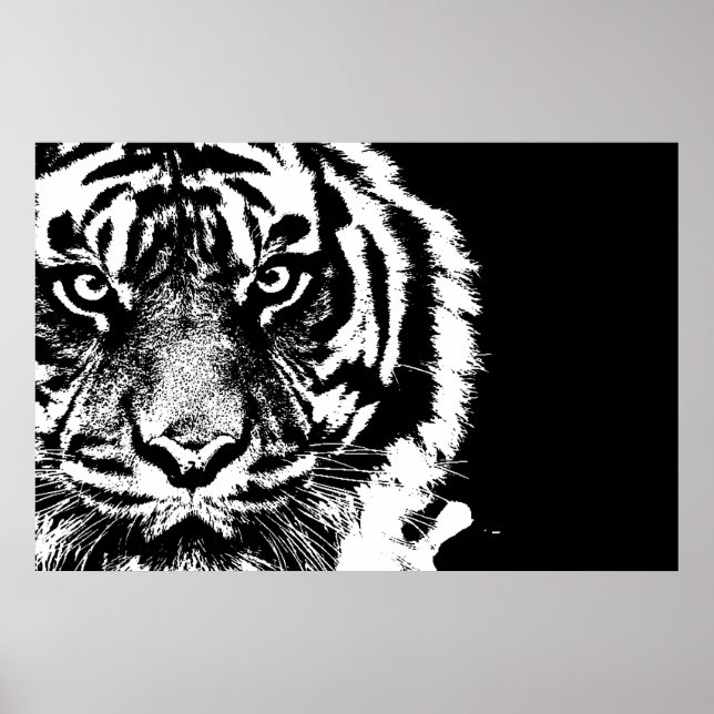 Black & White Sumatran Borneo Tiger Poster (Front)
