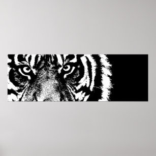 Black & White Sumatran Tiger Eyes Poster