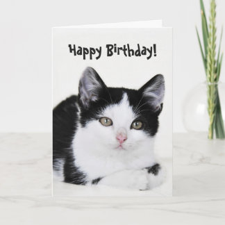 Black White Thoughtful Kitten Greeting Card