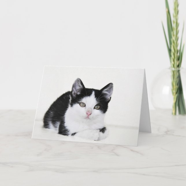 Black White Thoughtful Kitten Greeting Card (Front)