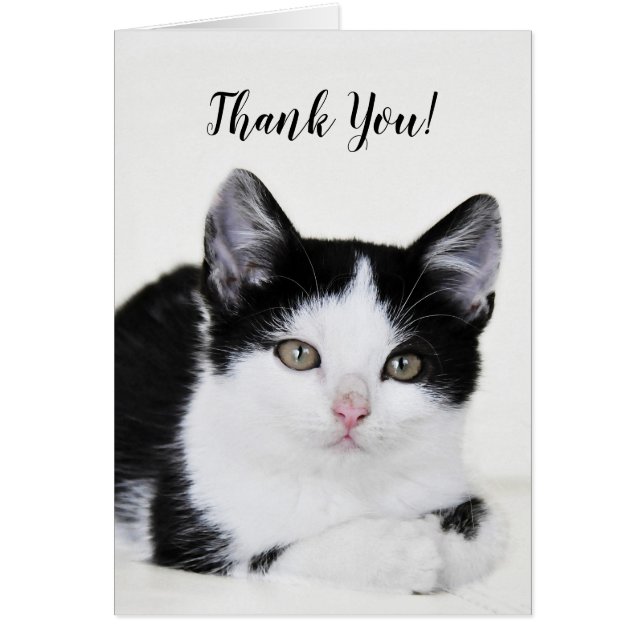 Black White Thoughtful Kitten Greeting Card (Front)