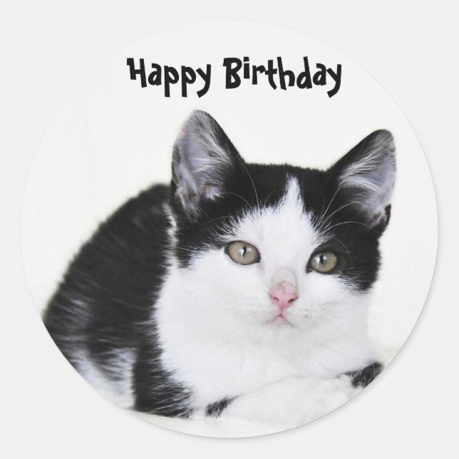 Black White Thoughtful Kitten Sticker (Front)
