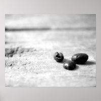 Black & White Three Dark Whole Coffee Beans 16x20