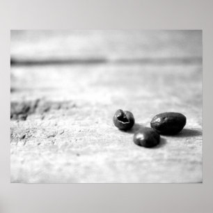 Black & White Three Dark Whole Coffee Beans 16x20  Poster