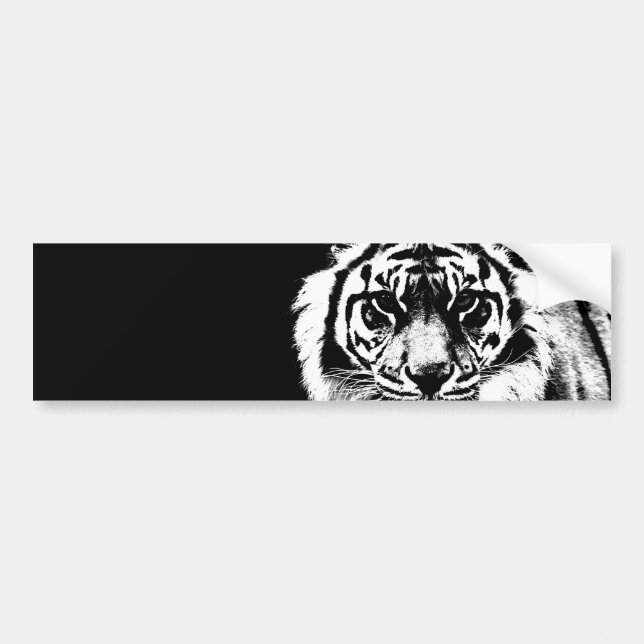 Black & White Tiger Bumper Sticker (Front)