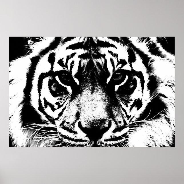 Black & White Tiger Eyes Poster (Front)