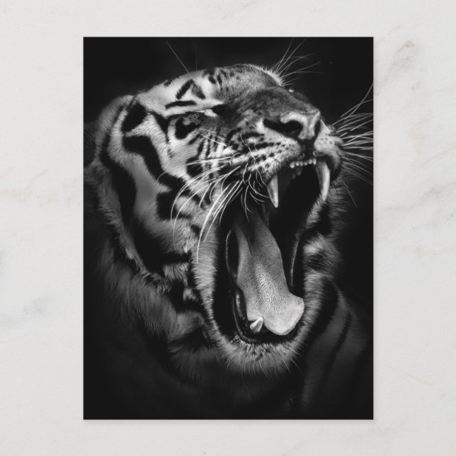 Black & White Tiger Inspirational Postcard (Front)