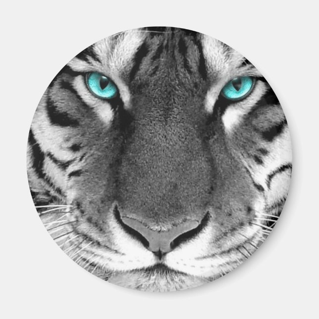 Black White Tiger Magnet (Front)