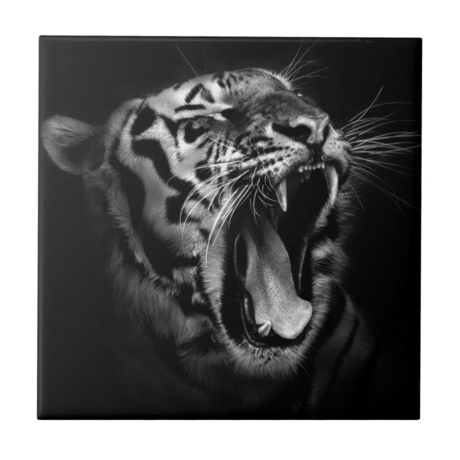 Black & White Tiger Tile (Front)