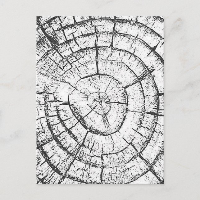 Black & White Tree Trunk Contemporary Collection Postcard (Front)