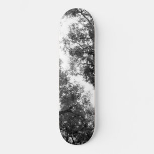 Black & White Trees Dream #1 #wall #art  Skateboard