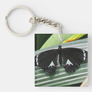 Black & White Tropical Butterfly Acrylic Key Ring