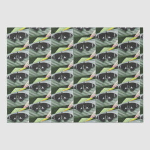Black & White Tropical Butterfly Tissue Paper