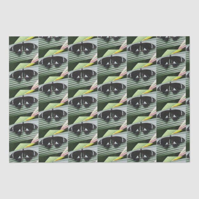 Black & White Tropical Butterfly Tissue Paper (Front)