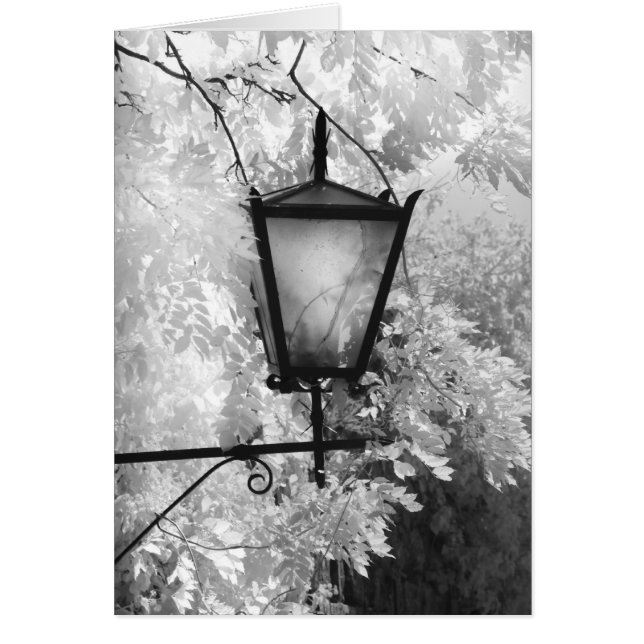 Black & White view of light fixture (Front)