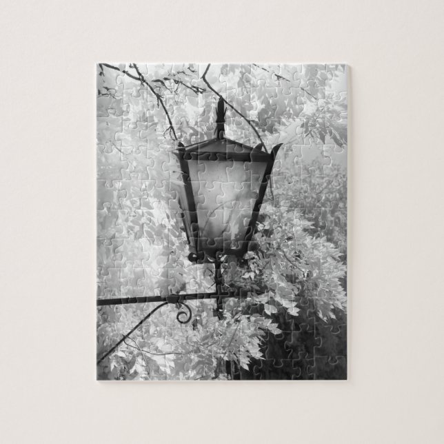 Black & White view of light fixture Jigsaw Puzzle (Vertical)