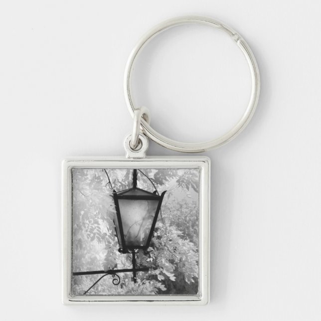 Black & White view of light fixture Key Ring (Front)