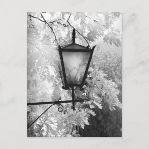 Black & White view of light fixture Postcard