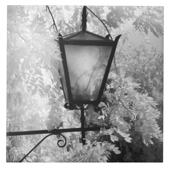 Black & White view of light fixture Tile (Front)