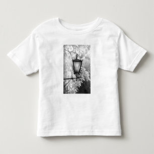Black & White view of light fixture Toddler T-Shirt