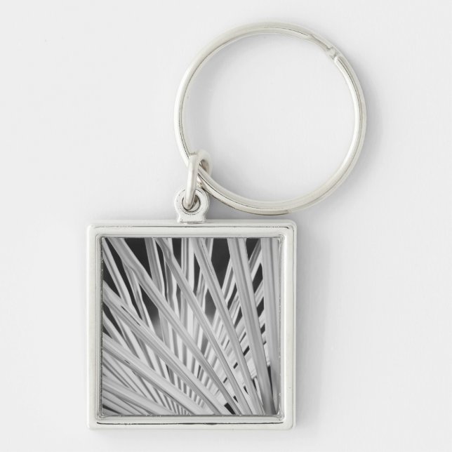 Black & White view of palm tree fronds Key Ring (Front)