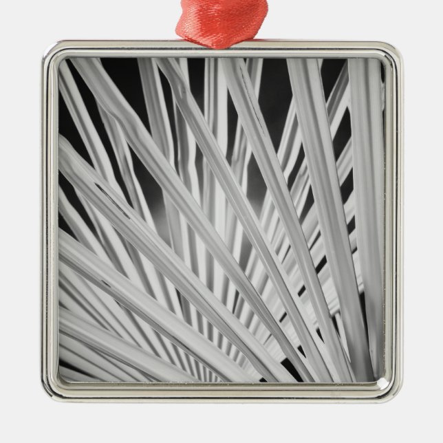 Black & White view of palm tree fronds Metal Tree Decoration (Front)