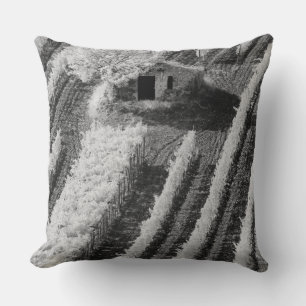 Black & White view of small stone barn Cushion
