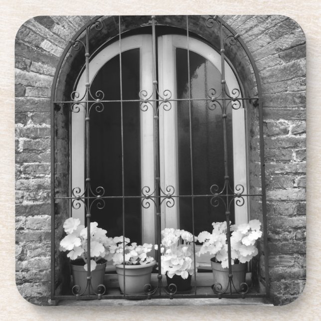 Black & White view of window and flower pots Coaster (Front)