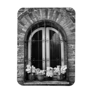 Black & White view of window and flower pots Magnet