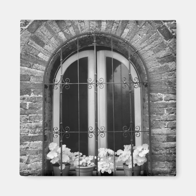 Black & White view of window and flower pots Magnet (Front)