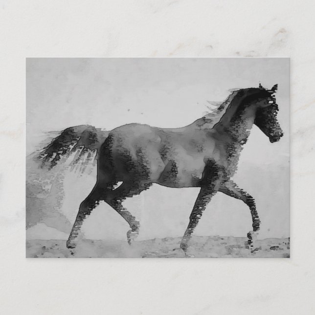 Black & White Walking Horse Postcard (Front)