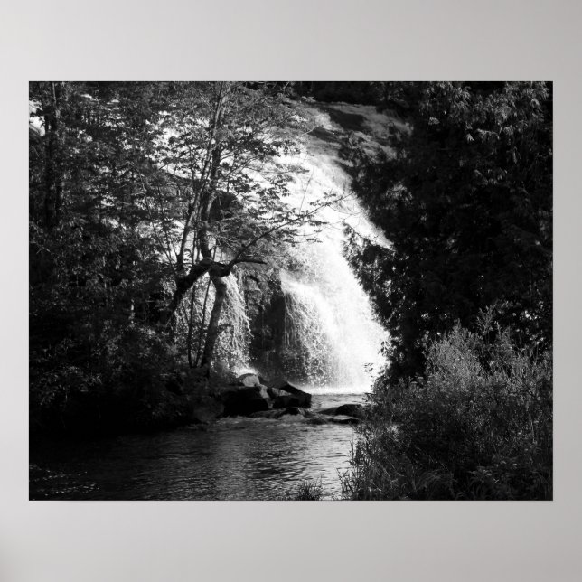 Black & White Waterfall Through the Trees 16x20 Poster (Front)