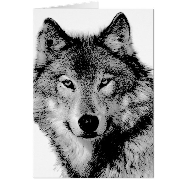 Black & White Wolf (Front)