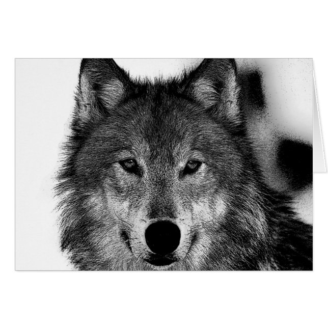 Black & White Wolf Artwork (Front Horizontal)