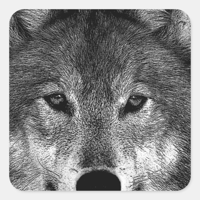 Black & White Wolf Artwork Square Sticker (Front)