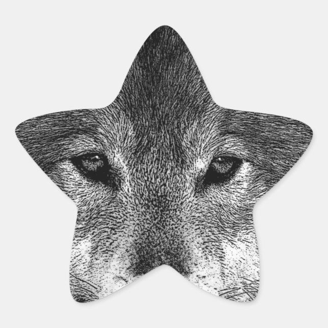 Black & White Wolf Artwork Star Sticker (Front)