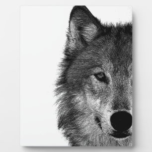 Black & White Wolf Eye Artwork Plaque
