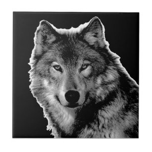 Black & White Wolf Eyes - Wild Animal Photography Tile