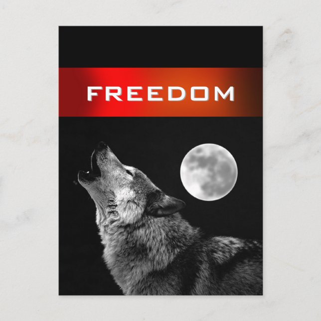 Black White Wolf Howling at Moon Freedom Postcard (Front)