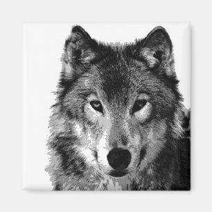 Black & White Wolf Portrait Magnet