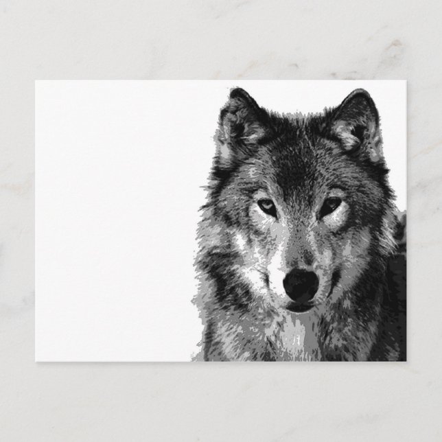 Black & White Wolf Portrait Postcard (Front)