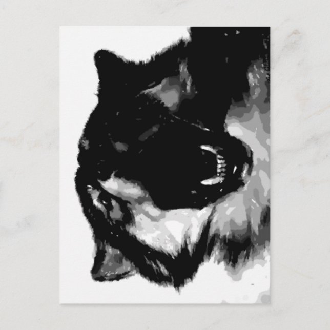Black & White Wolf Postcard (Front)