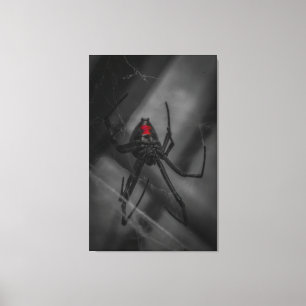 Black Widow Canvas Print