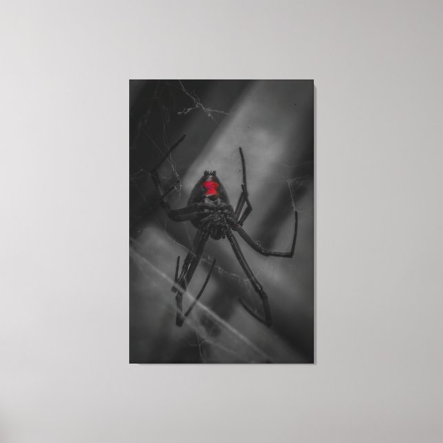 Black Widow Canvas Print (Front)