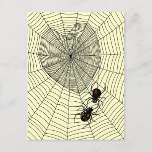 Black Widow Postcard