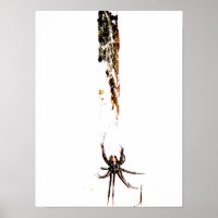 black widow