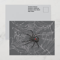 Black Widow Spider And Spiderweb Drawing Art