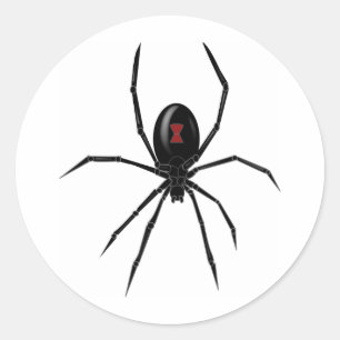 Black WIdow Spider Classic Round Sticker