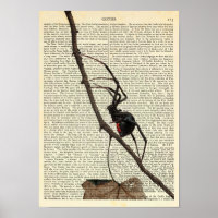 Black Widow Spider, Gothic, Nature, Arachnophobia